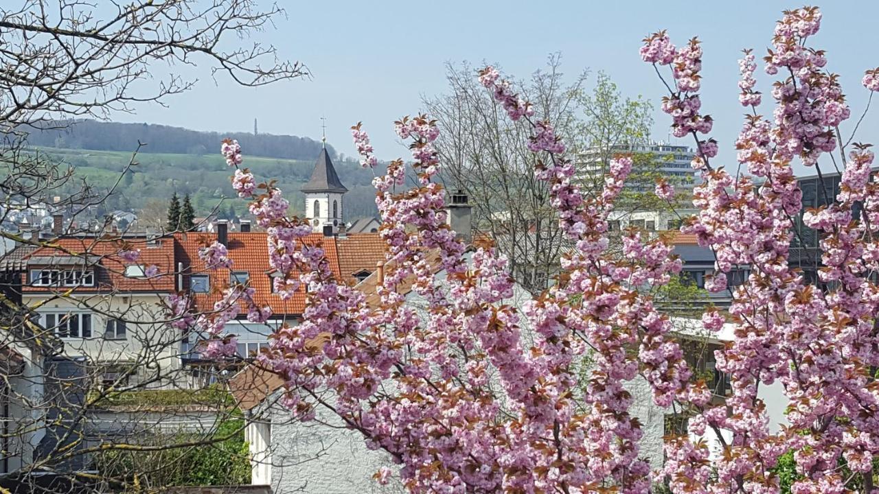 Villa Am Rosenfelspark Lörrach Exteriér fotografie
