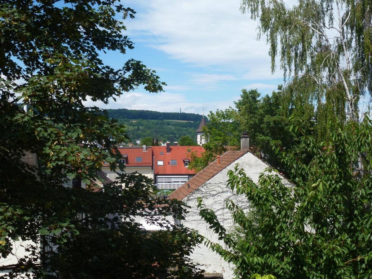 Villa Am Rosenfelspark Lörrach Exteriér fotografie