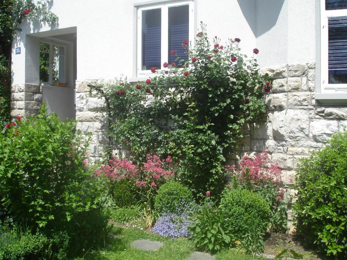 Villa Am Rosenfelspark Lörrach Exteriér fotografie