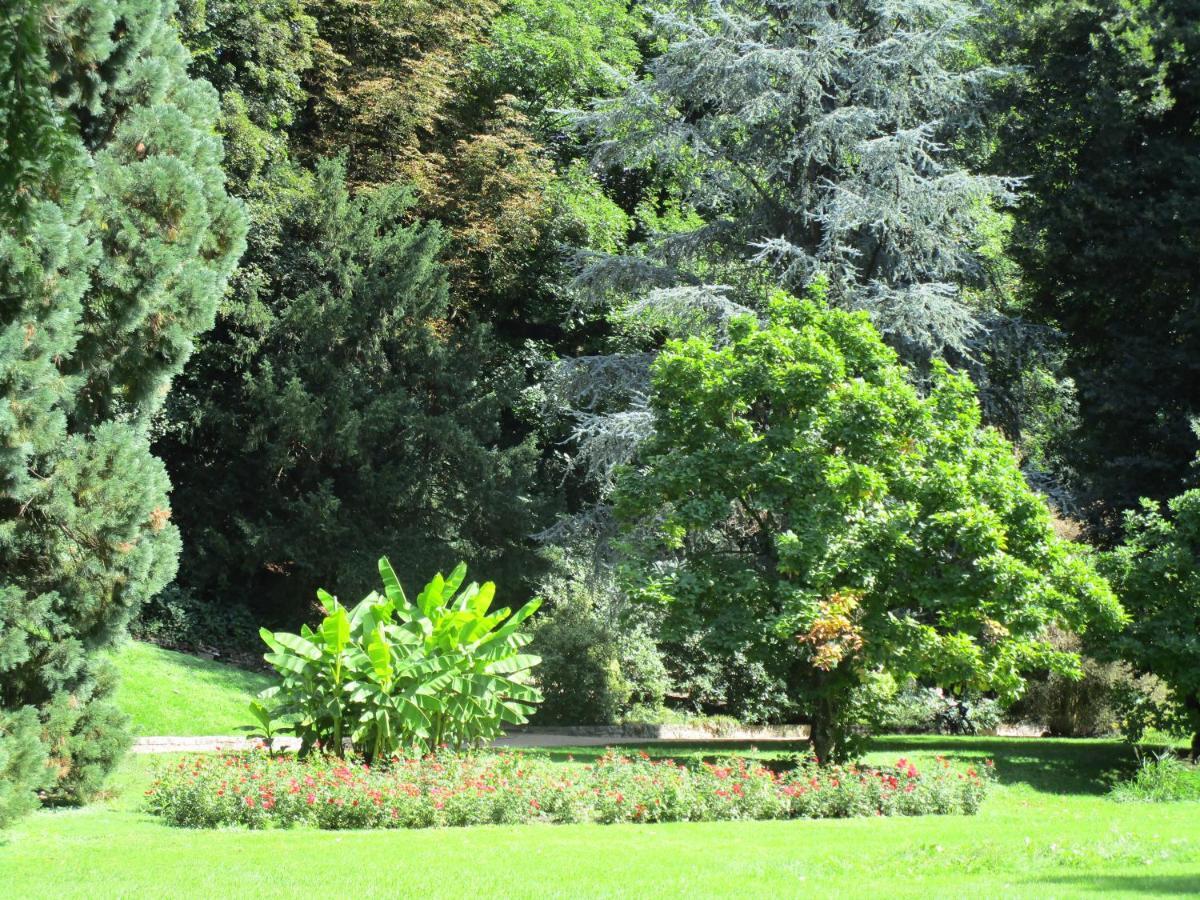 Villa Am Rosenfelspark Lörrach Exteriér fotografie